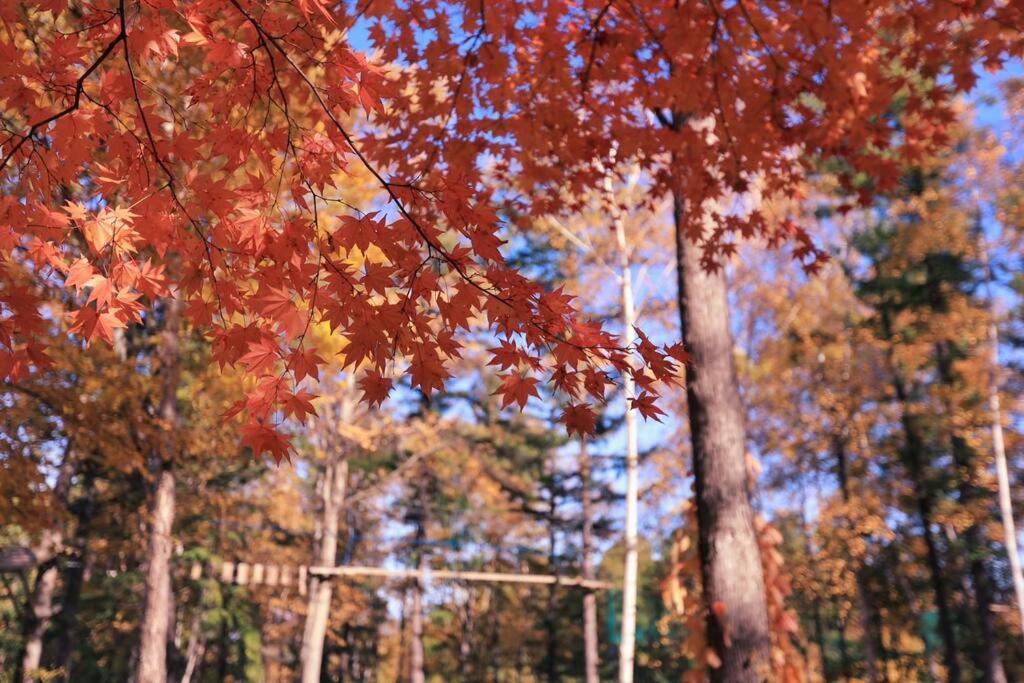 Furano Cube Sugar-方糖民宿,步行8Min到雪场,3 Brs,Max 6Ppl Exterior foto